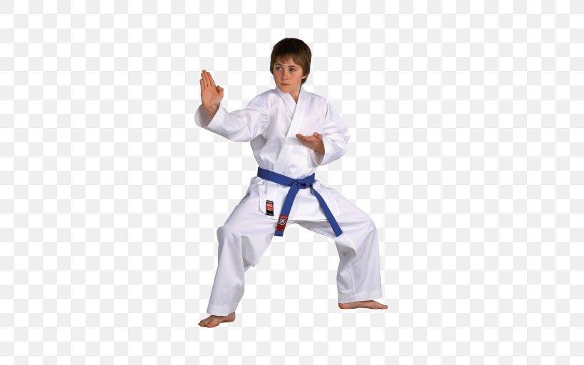 Karate Gi Martial Arts Dojo Taekwondo, PNG, 513x513px, Karate Gi, Arm, Black Belt, Budo, Child Download Free