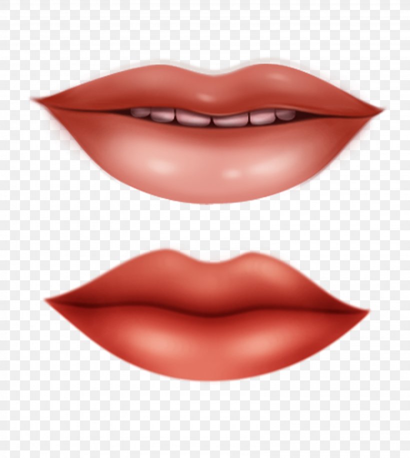 Lip Desktop Wallpaper Clip Art, PNG, 3181x3552px, Lip, Chin, Cosmetics, Eyelash, Information Download Free