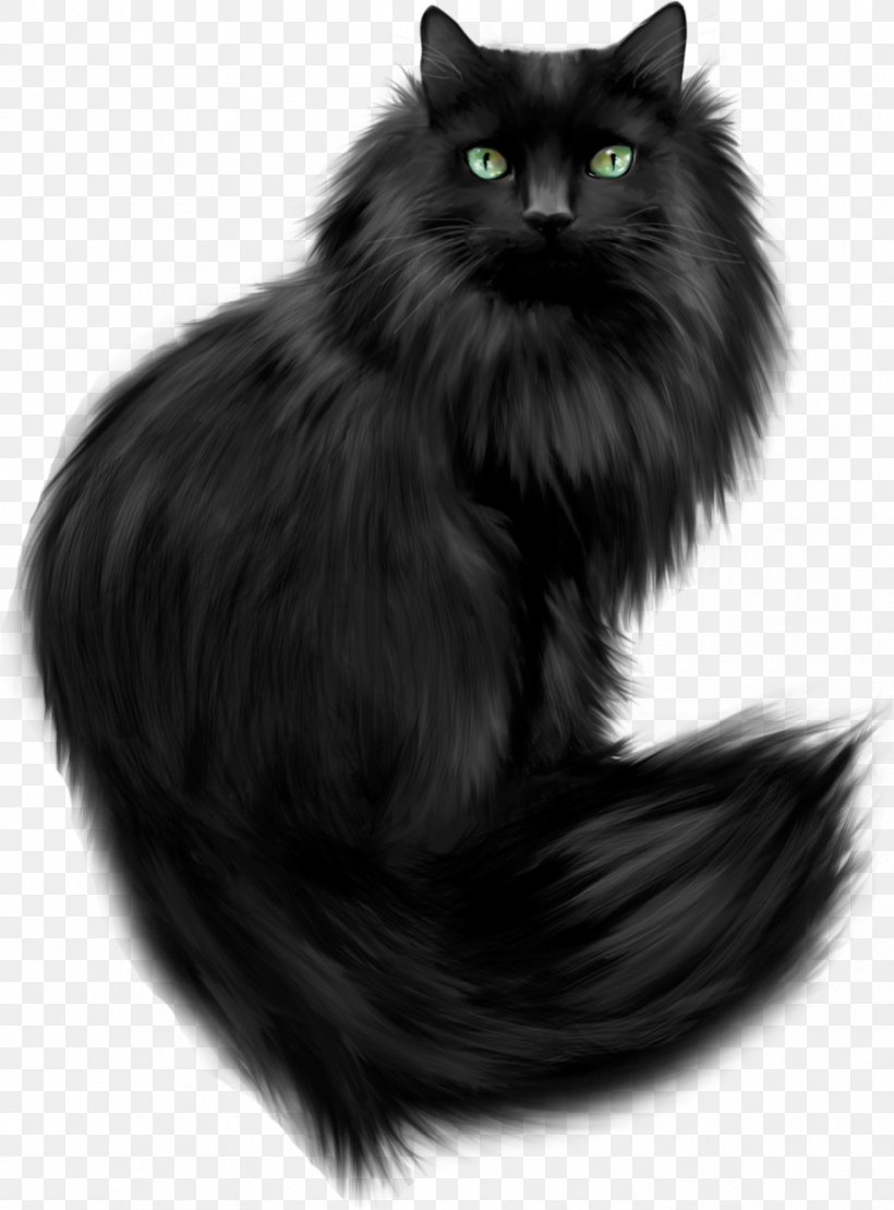 Persian Cat Maine Coon Tournée Du Chat Noir Clip Art Kitten, PNG, 887x1200px, Persian Cat, Asian Semi Longhair, Black, Black And White, Black Cat Download Free