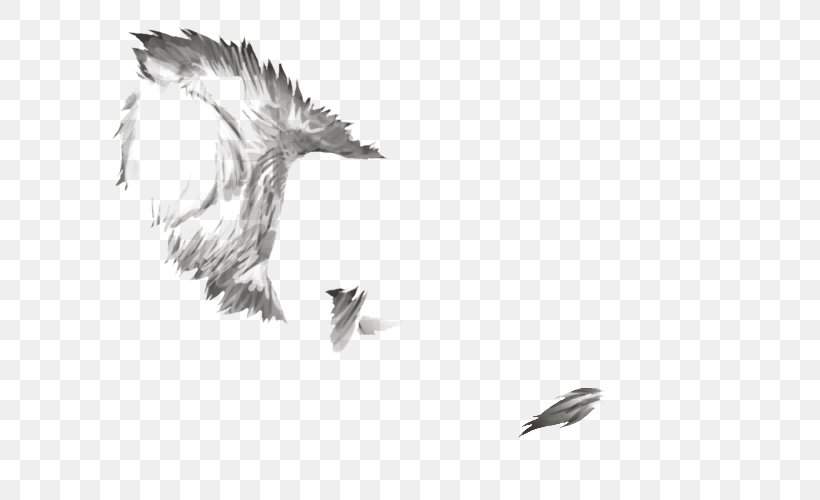 Bald Eagle Beak Feather White Font, PNG, 640x500px, Bald Eagle, Artwork, Beak, Bird, Bird Of Prey Download Free