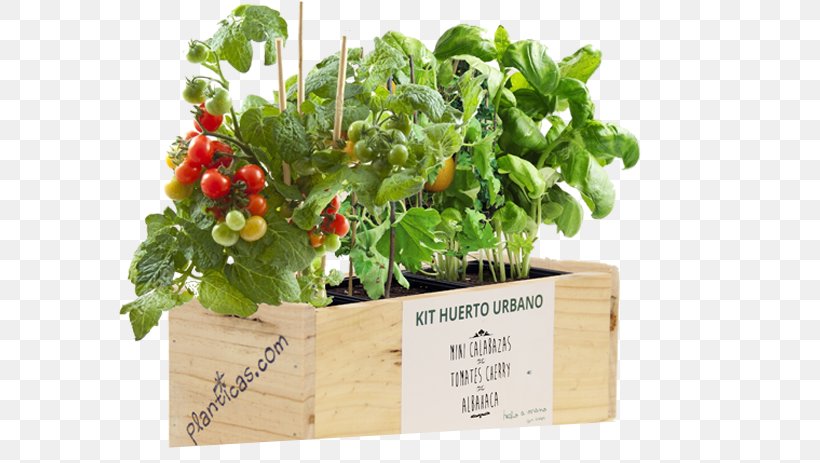 Market Garden Flowerpot Herb Plant Growbag, PNG, 799x463px, Market Garden, Basil, Birthday, Flowerpot, Gift Download Free