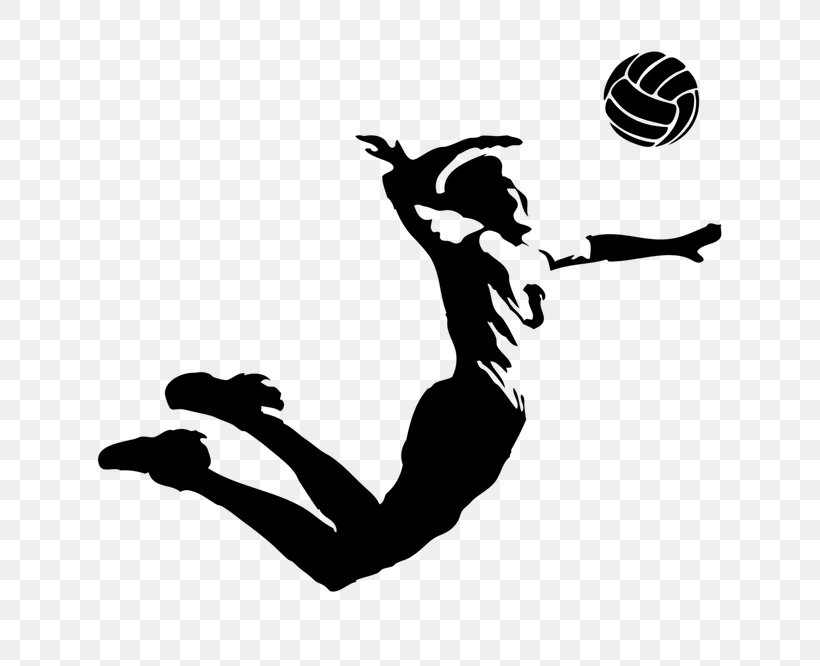 Volleyball VC Zenit-Kazan Sport VC Belogorie, PNG, 666x666px, Volleyball, Arm, Artwork, Ball, Basketball Download Free