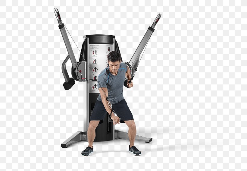 Weightlifting Machine Bench Power Rack Exercise Equipment Keyword Tool, PNG, 738x567px, Weightlifting Machine, Aerobic Exercise, Bench, Exercise Equipment, Exercise Machine Download Free