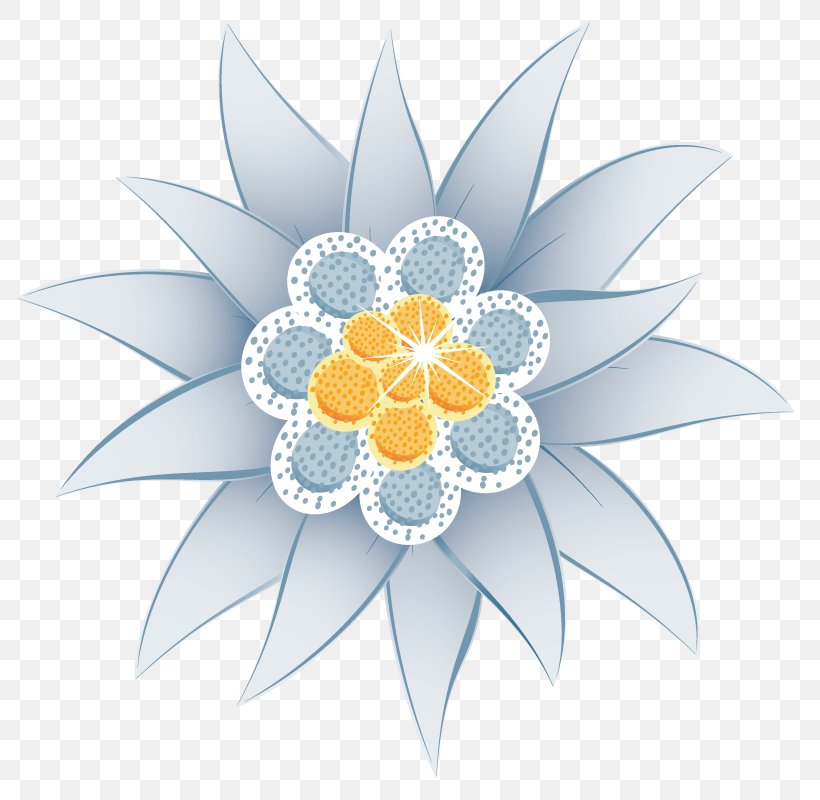 Edelweiss Flower Euclidean Vector Illustration, PNG, 800x800px, Edelweiss, Art, Drawing, Flora, Flower Download Free