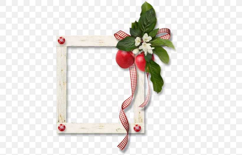 Picture Frames, PNG, 500x524px, Picture Frames, Adobe Premiere Pro, Computer Software, Digital Image, Flower Download Free