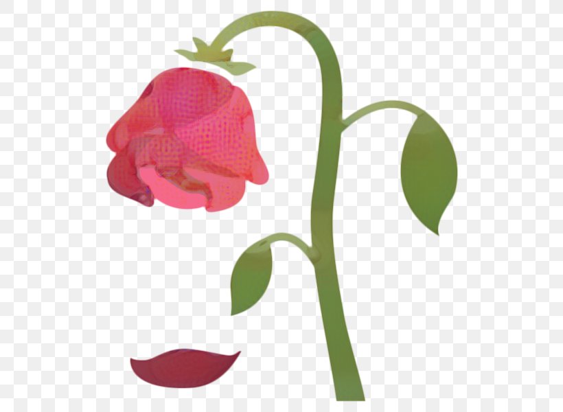 Sweet Pea Flower, PNG, 600x600px, Rose Family, Cut Flowers, Flower, Magenta, Pedicel Download Free