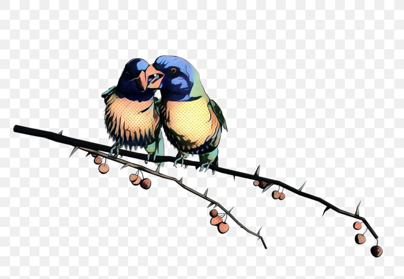 Clip Art Lovebird Parrot, PNG, 800x566px, Bird, Beak, Bluebird, Branch, Budgerigar Download Free