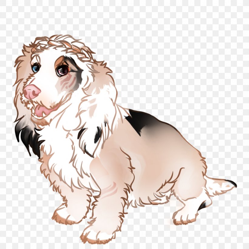 Dog Breed Puppy Companion Dog Spaniel, PNG, 894x894px, Dog Breed, Breed, Carnivoran, Companion Dog, Dog Download Free