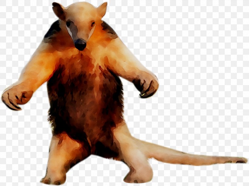 Dog Fur Snout, PNG, 1325x990px, Dog, Animal Figure, Animation, Bear, Carnivore Download Free