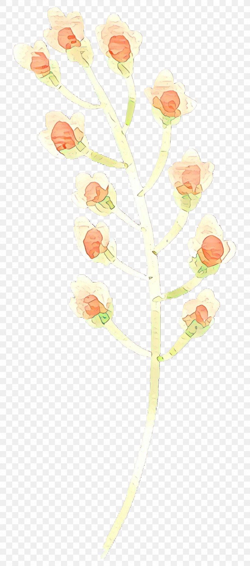 Floral Flower Background, PNG, 1589x3600px, Petal, Branch, Cut Flowers, Floral Design, Flower Download Free