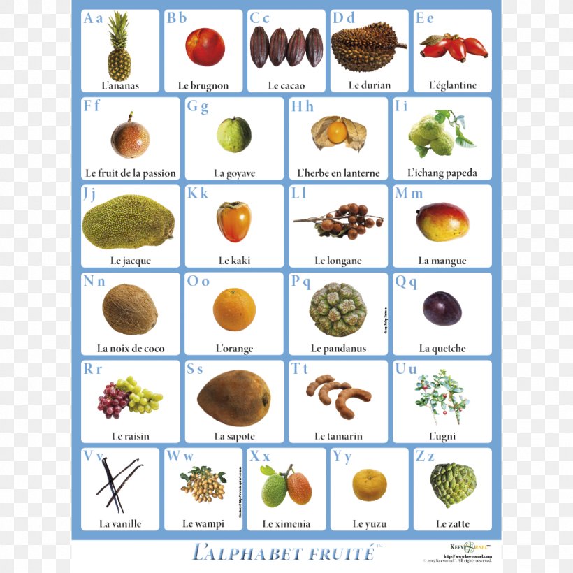 Fruit English Alphabet Letter Case, PNG, 1024x1024px, Fruit, Alphabet, English, English Alphabet, Flower Download Free