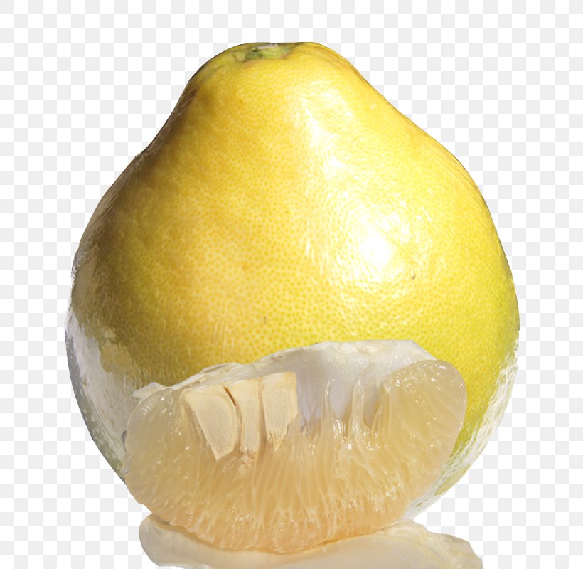 Citron Pomelo Lemon Citrus Junos Grapefruit, PNG, 800x800px, Citron, Citric Acid, Citrus, Citrus Junos, Citrus Maxima U2018shatianu2019 Download Free