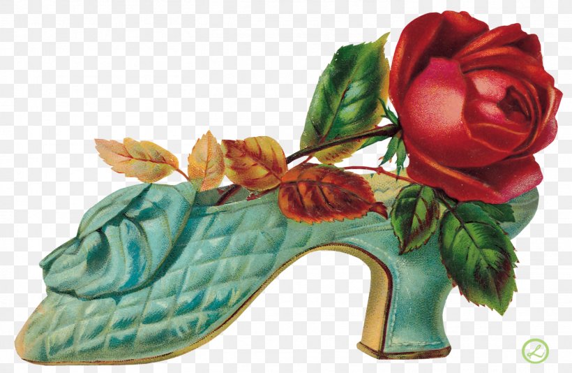 Flower Garden Roses Footwear Floral Design, PNG, 1462x953px, Flower, Boot, Cut Flowers, Designer, Floral Design Download Free