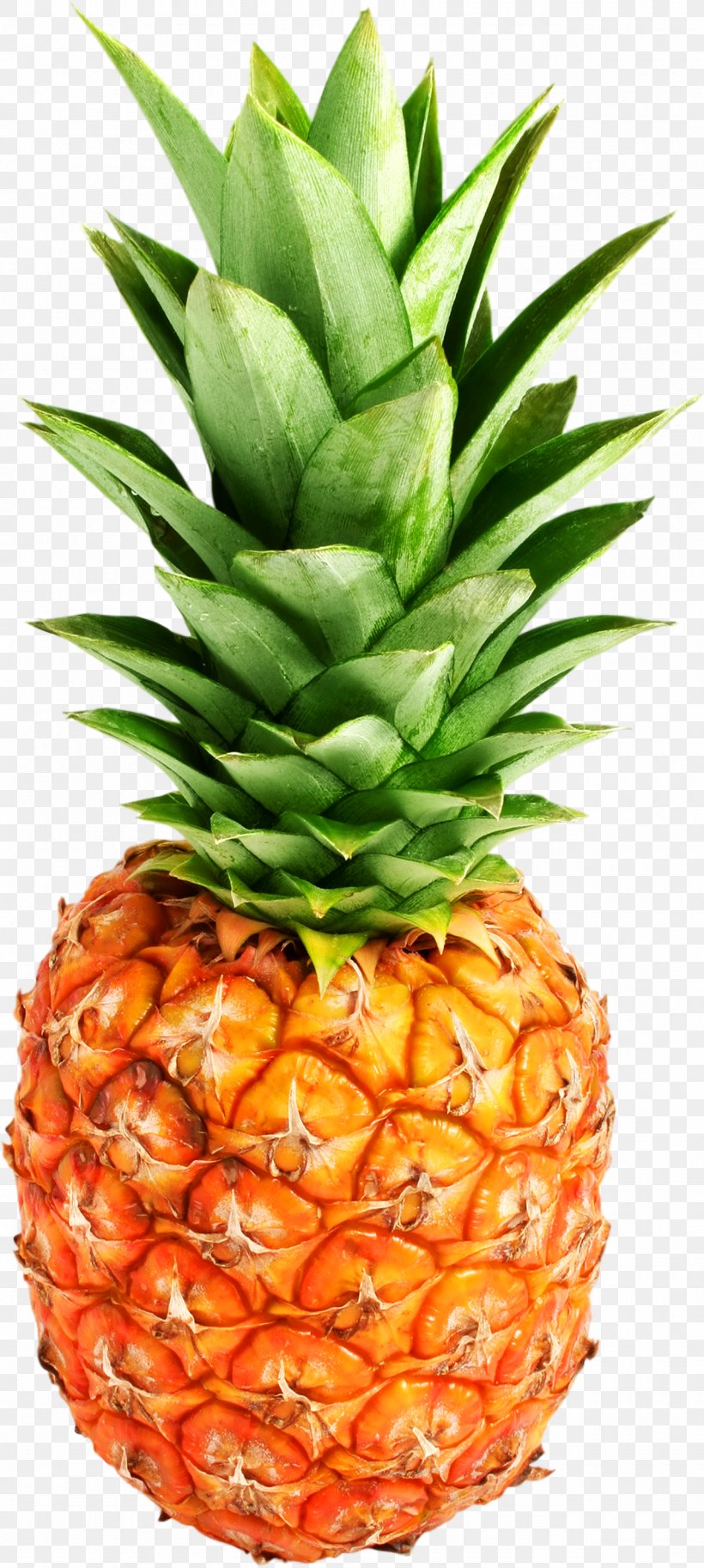 Juice Pineapple Clip Art, PNG, 1280x2851px, Juice, Ananas, Bromeliaceae, Food, Fruit Download Free
