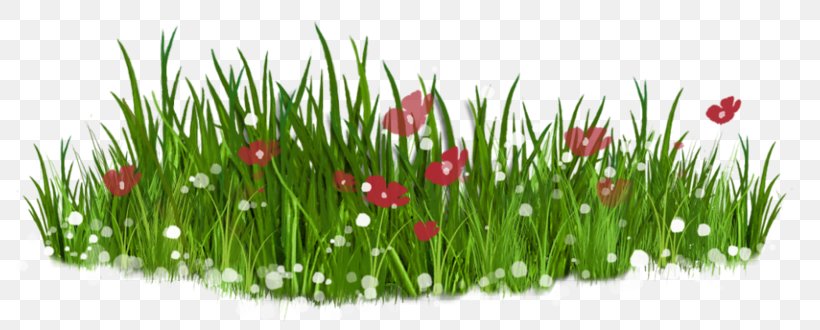 Flower Lawn Clip Art, PNG, 800x330px, Flower, Digital Image, Flower Garden, Flowering Plant, Flowerpot Download Free