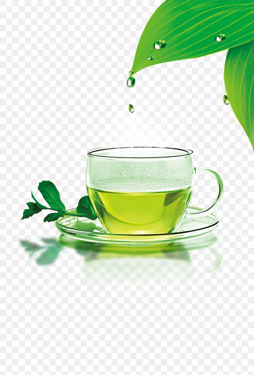 Green Tea Cafe Icon, PNG, 1087x1606px, Tea, Cafe, Coffee Cup, Cup, Drinkware Download Free