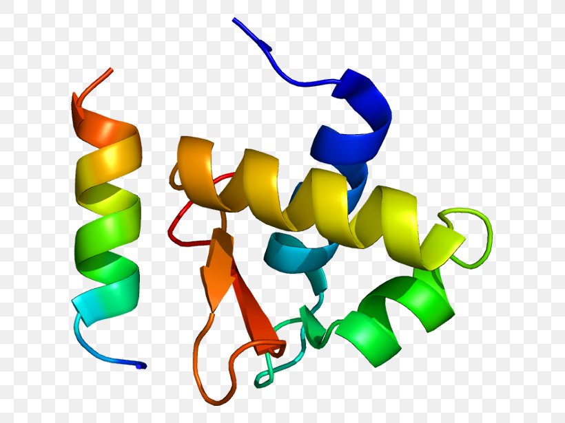Replication Protein A2 Single-stranded Binding Protein DNA Replication, PNG, 663x615px, Replication Protein A, Area, Artwork, Dna, Dna Repair Download Free