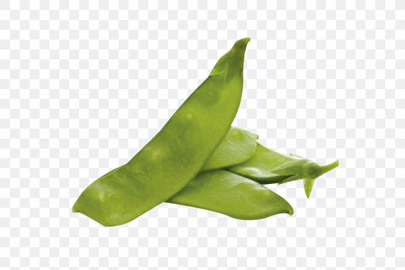 Snap Pea Choy Sum Vegetable Snow Pea Broad Bean, PNG, 960x640px, Snap Pea, Bean, Bok Choi, Broad Bean, Cabbage Download Free