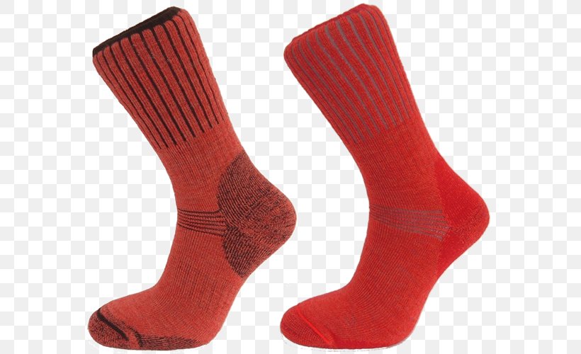 Sock Shoe, PNG, 591x500px, Sock, Shoe Download Free