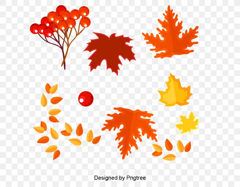 Autumn Clip Art Image Drawing, PNG, 640x640px, Autumn, Autumn Leaves, Black Maple, Cartoon, Drawing Download Free