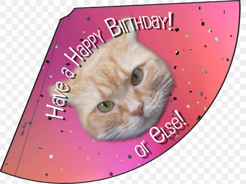 Whiskers Kitten Birthday Party Hat, PNG, 992x743px, Whiskers, Birthday, Carnivoran, Cat, Cat Like Mammal Download Free