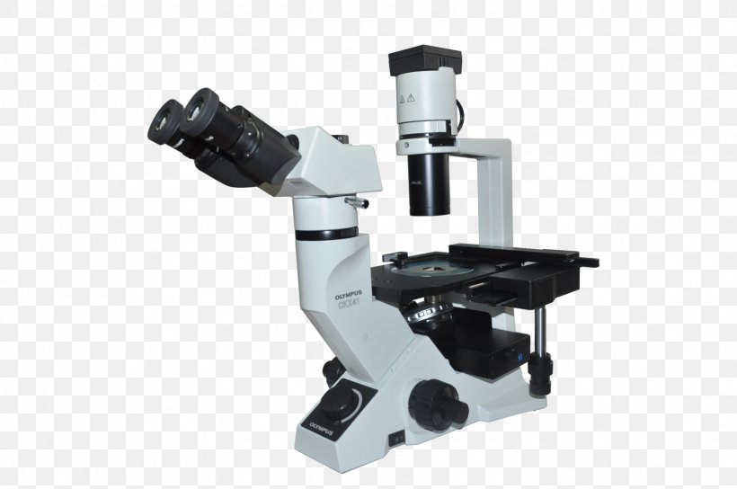 Fluorescence Microscope Fluorescence Microscope Optical Instrument Optics, PNG, 1626x1080px, Microscope, Fluorescence, Fluorescence Microscope, Fluorescent Lamp, Inverted Microscope Download Free