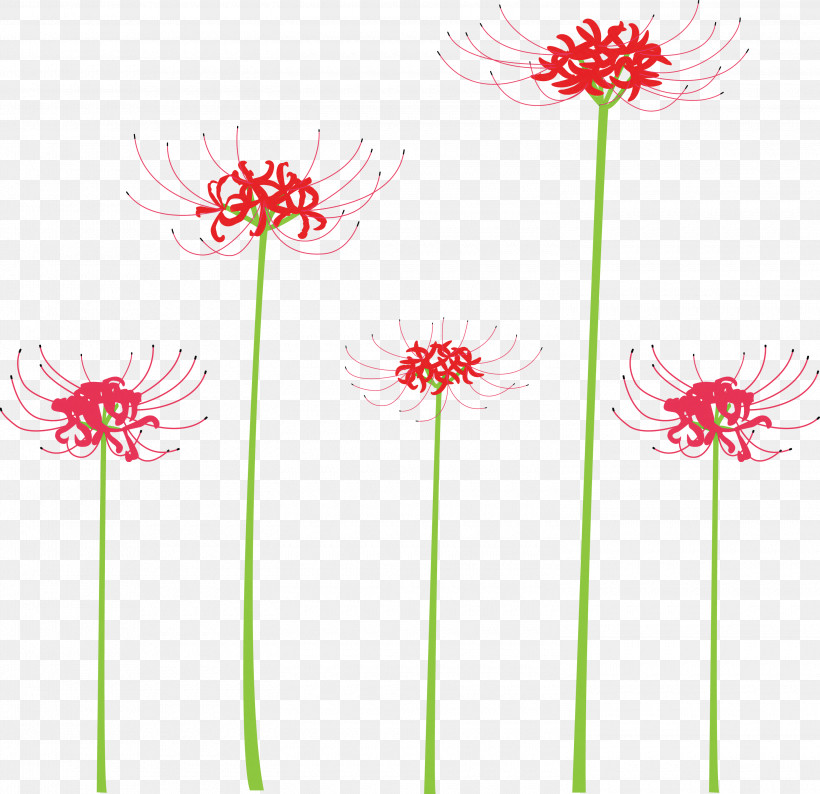 Hurricane Lily Flower, PNG, 3000x2908px, Hurricane Lily, Cut Flowers, Flower, Gerbera, Pedicel Download Free