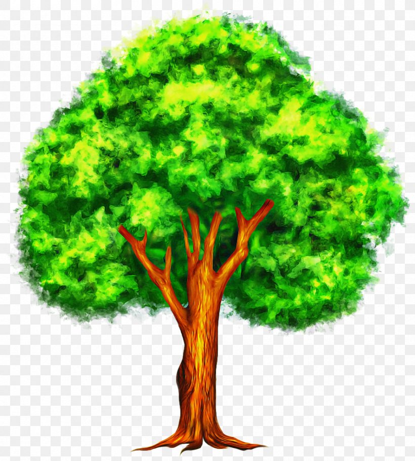 Arbor Day, PNG, 884x981px, Tree, Arbor Day, Grass, Green, Plant Download Free