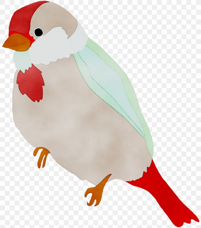 Beak Illustration Clip Art Feather Landfowl, PNG, 1405x1598px, Beak, Bird, European Robin, Feather, Flightless Bird Download Free