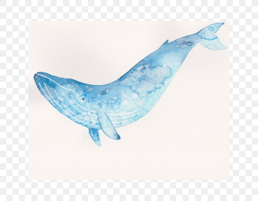 Blue Whale Watercolor Painting Art, PNG, 640x640px, Whale, Art, Blue Whale, Cetacea, Dolphin Download Free