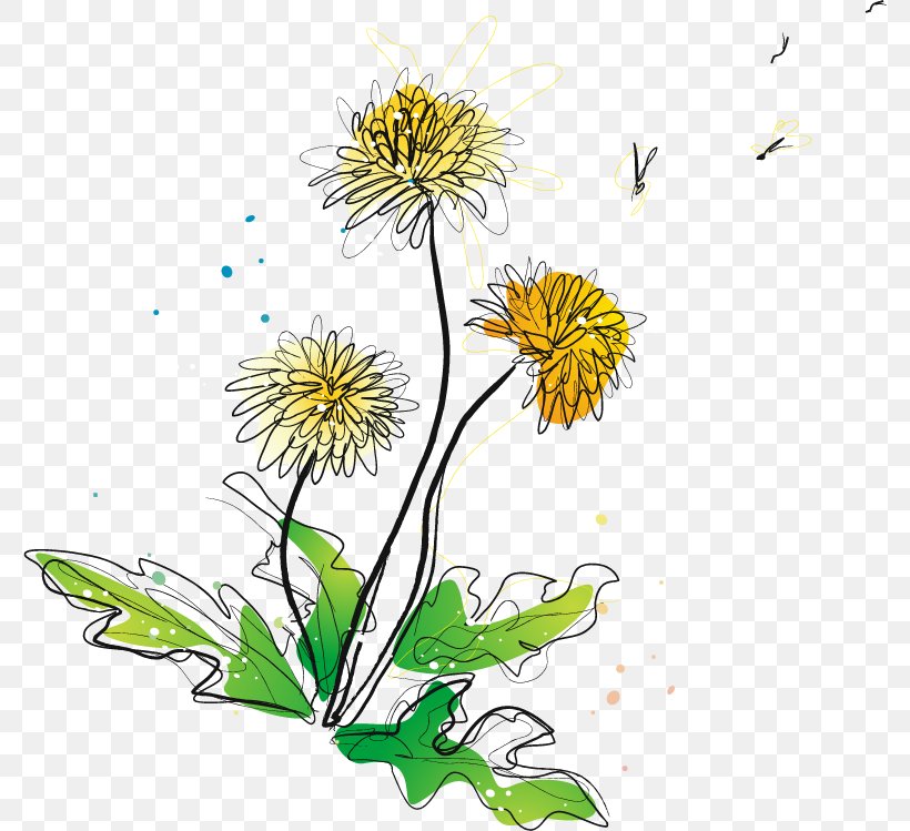 Chrysanthemum Indicum Adobe Illustrator, PNG, 778x749px, Chrysanthemum Indicum, Chrysanthemum, Chrysanths, Cut Flowers, Dahlia Download Free