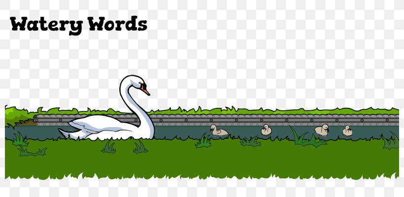 Cygnini Fauna Graphics Water Beak, PNG, 800x400px, Cygnini, Beak, Bird, Ducks Geese And Swans, Fauna Download Free