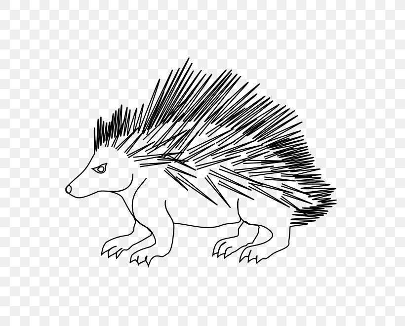 Hedgehog Echidna Porcupine Line Art White, PNG, 600x660px, Hedgehog, Black And White, Carnivora, Carnivoran, Drawing Download Free