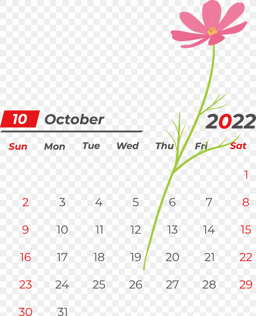 Line Flower Font Calendar Petal, PNG, 3974x4904px, Line, Calendar, Flower, Geometry, Mathematics Download Free