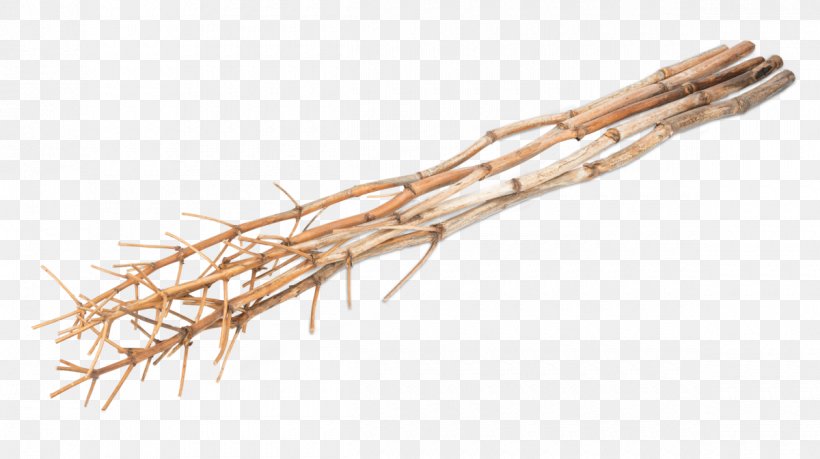 Twig Fennel Branch Wood Room, PNG, 1200x673px, Twig, Apartment, Askartelu, Bedroom, Branch Download Free