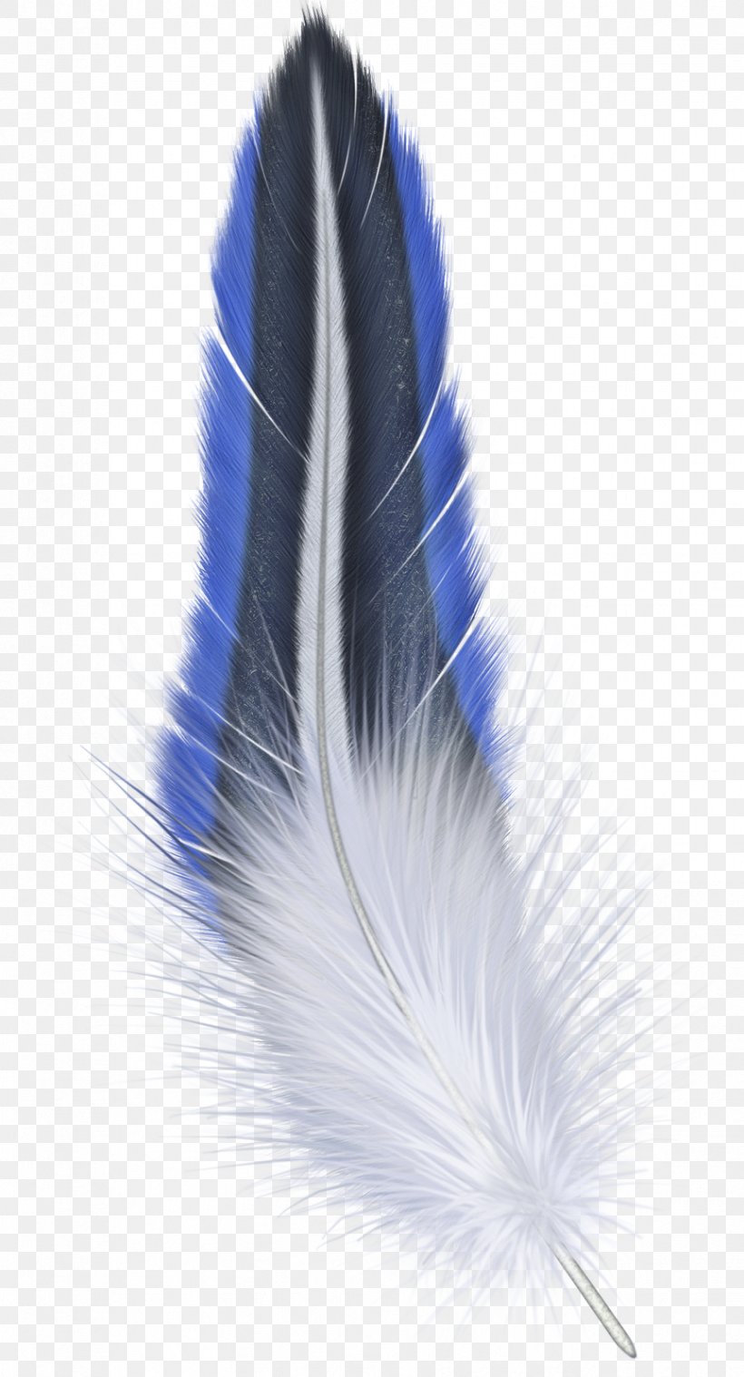 Feather Clip Art, PNG, 864x1600px, Feather, Eagle Feather Law, Image File Formats, Ink, Quill Download Free