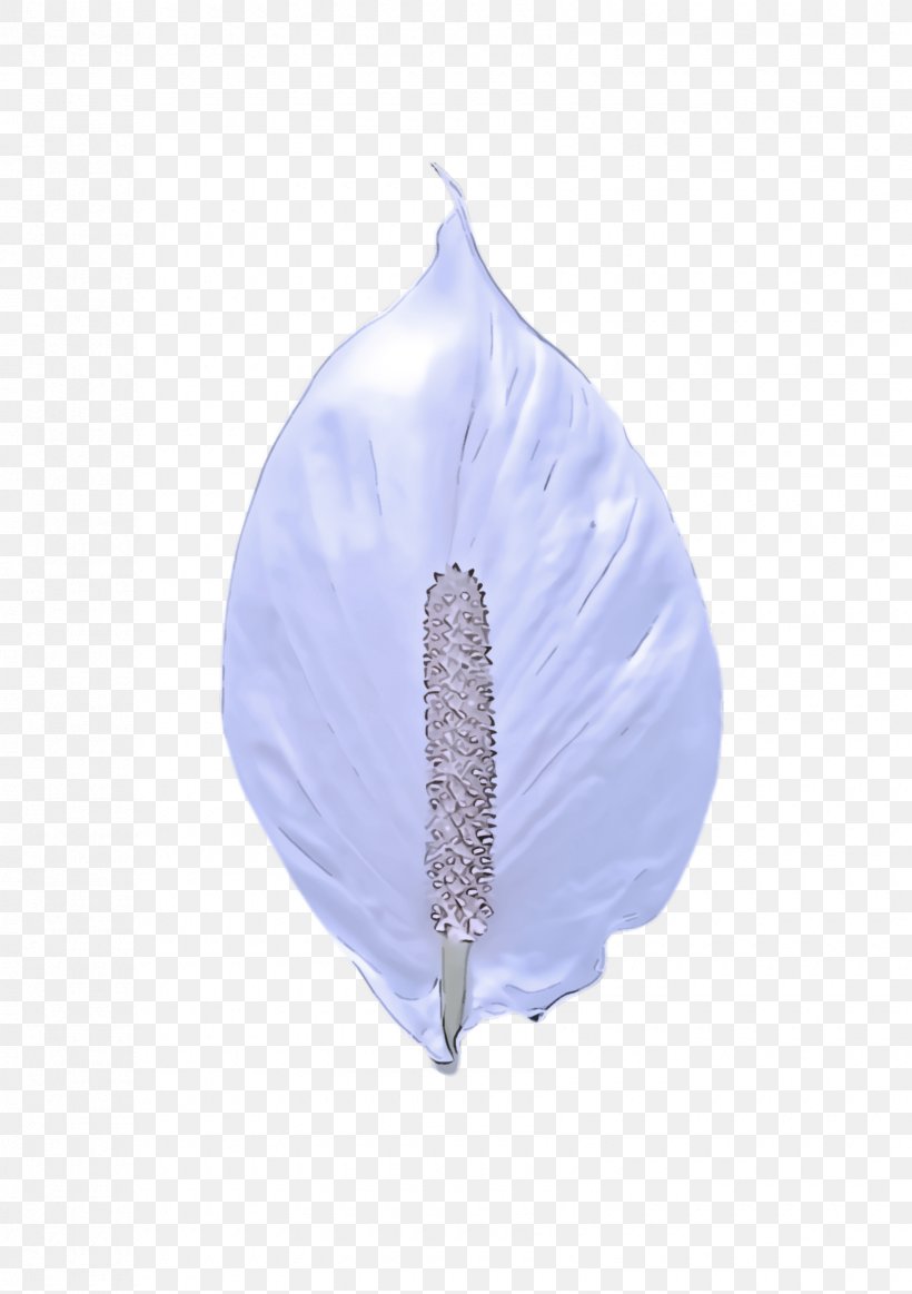 Feather, PNG, 1680x2384px, White, Anthurium, Arum Family, Feather, Flower Download Free