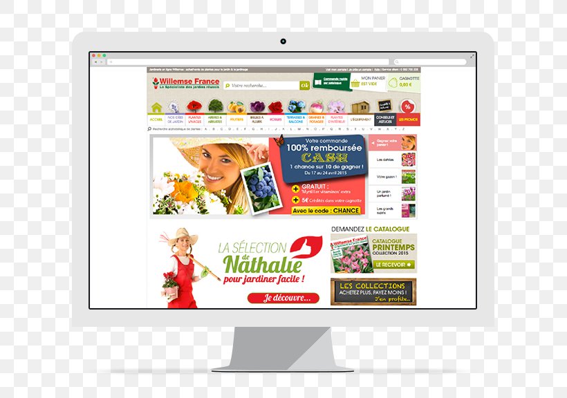 Web Page Display Advertising Brand, PNG, 800x576px, Web Page, Advertising, Area, Brand, Communication Download Free