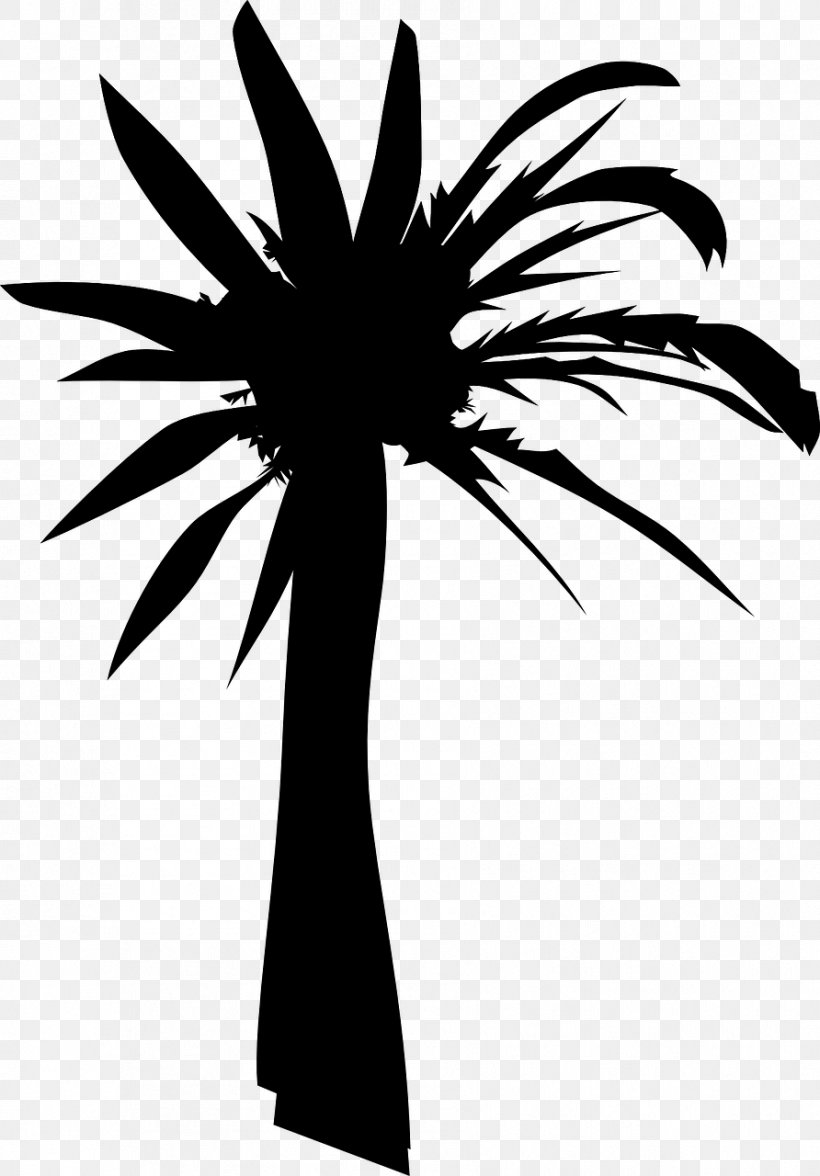 Arecaceae Tree Drawing Clip Art, PNG, 892x1280px, Arecaceae, African Oil Palm, Arecales, Asian Palmyra Palm, Black And White Download Free