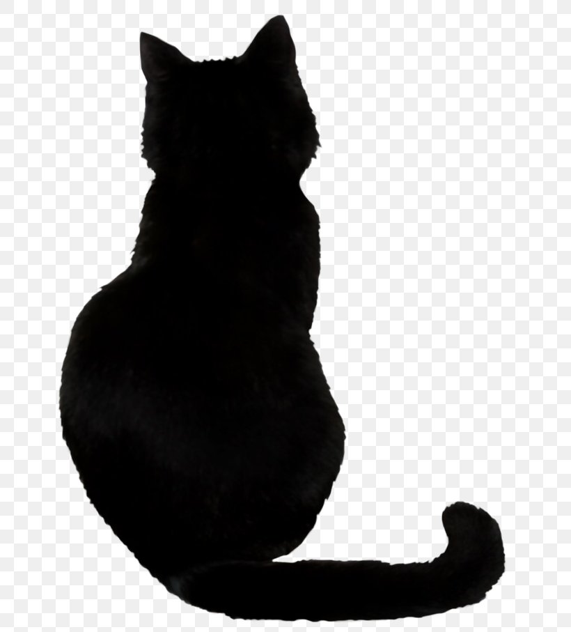 Bombay Cat Savannah Cat Le Chat Noir Felidae Wildcat, PNG, 700x907px, Bombay Cat, Black, Black Cat, Blackandwhite, Bombay Download Free