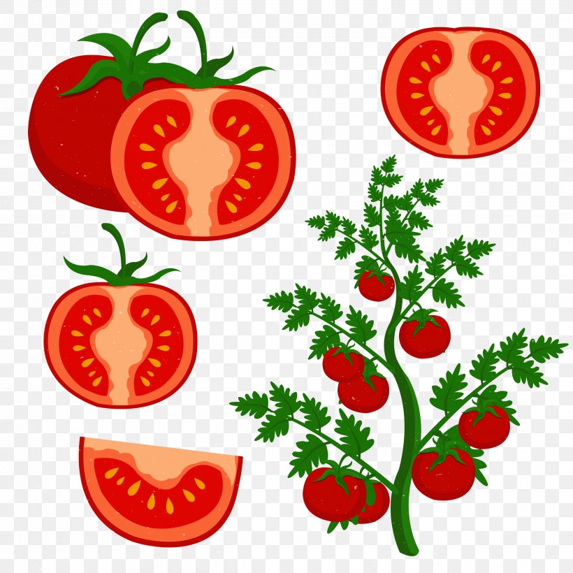 Cherry Tomato Clip Art, PNG, 2480x2480px, Cherry Tomato, Artwork, Diet Food, Flower, Flowering Plant Download Free