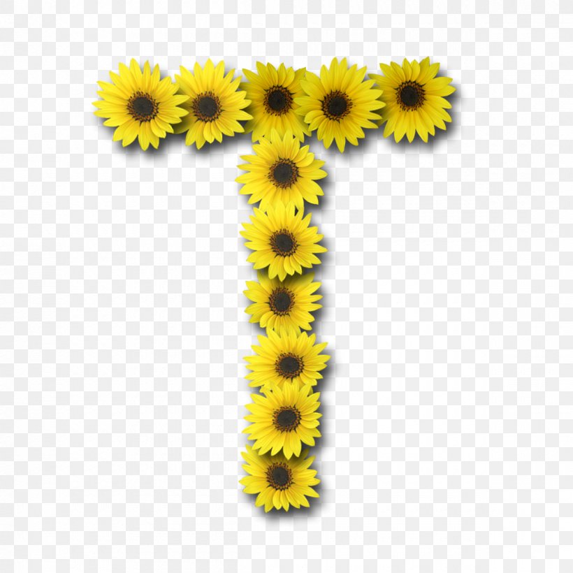 Common Sunflower Letter Alphabet, PNG, 1200x1200px, Common Sunflower, Alphabet, Daisy Family, Flower, Flowering Plant Download Free