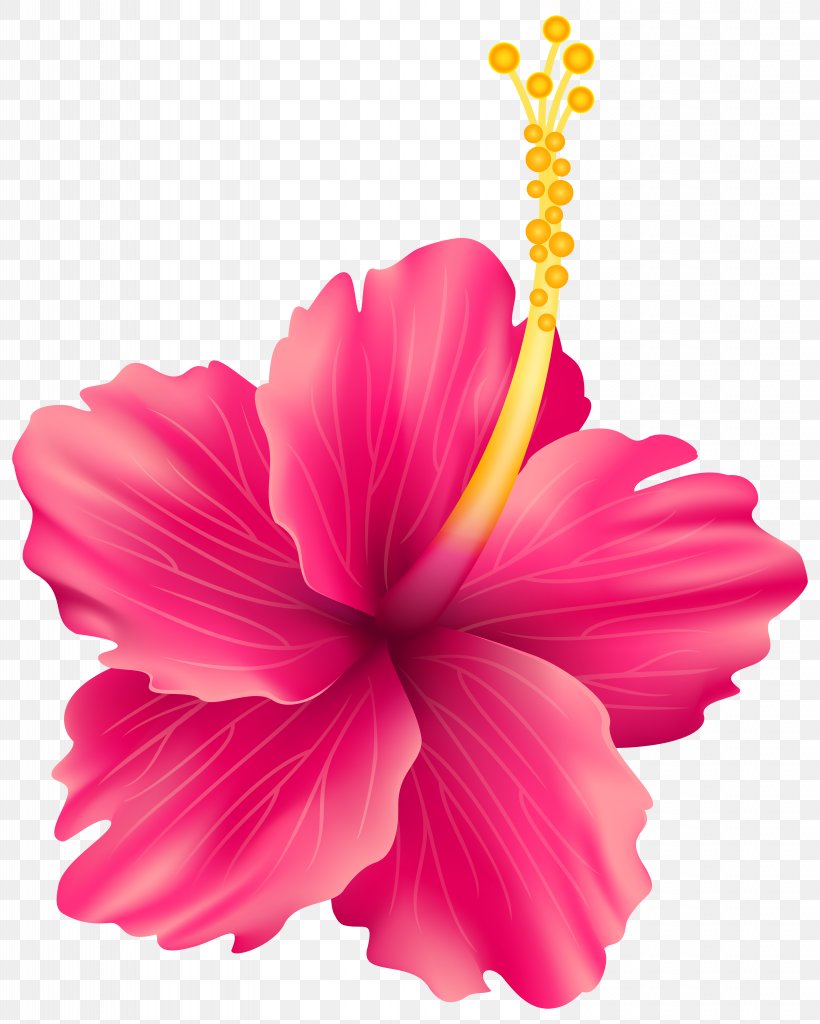 Flower Rose Clip Art, PNG, 6404x8000px, Flower, Annual Plant, Blue Rose, China Rose, Chinese Hibiscus Download Free