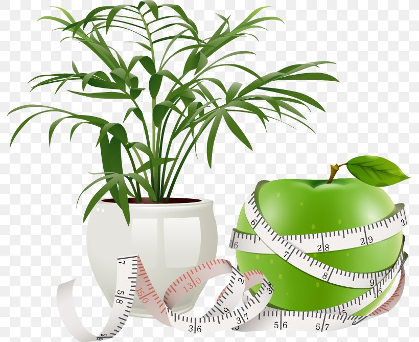 Flowerpot Plant Icon, PNG, 791x669px, Flowerpot, Arecales, Grass, Grass Family, Gratis Download Free