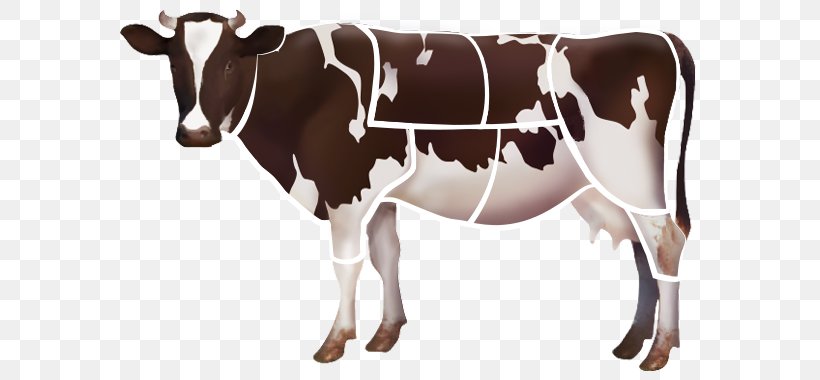 Holstein Friesian Cattle Dairy Cattle Livestock Farm Clip Art, PNG, 601x380px, Holstein Friesian Cattle, Beef, Bull, Cattle, Cattle Feeding Download Free