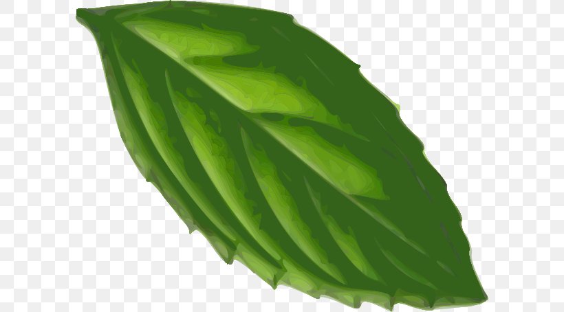 Leaf Peppermint Clip Art, PNG, 600x454px, Leaf, Drawing, Herb, Mentha Arvensis, Mentha Canadensis Download Free