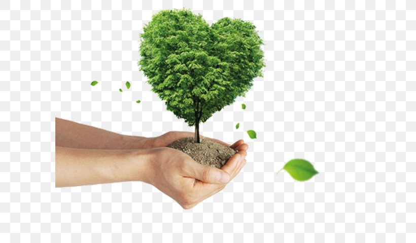 Natural Environment Clip Art Social Media Organization Image, PNG, 601x480px, Natural Environment, Flowerpot, Grass, Hand, Houseplant Download Free