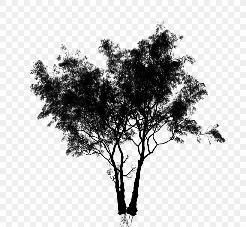 Silhouette Leaf Sky, PNG, 2500x2307px, Silhouette, Blackandwhite, Branch, Leaf, Monochrome Download Free