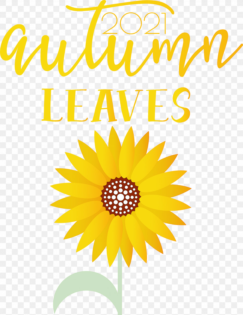 Autumn Leaves Autumn Fall, PNG, 2314x3000px, Autumn Leaves, Autumn, Chrysanthemum, Common Sunflower, Cut Flowers Download Free