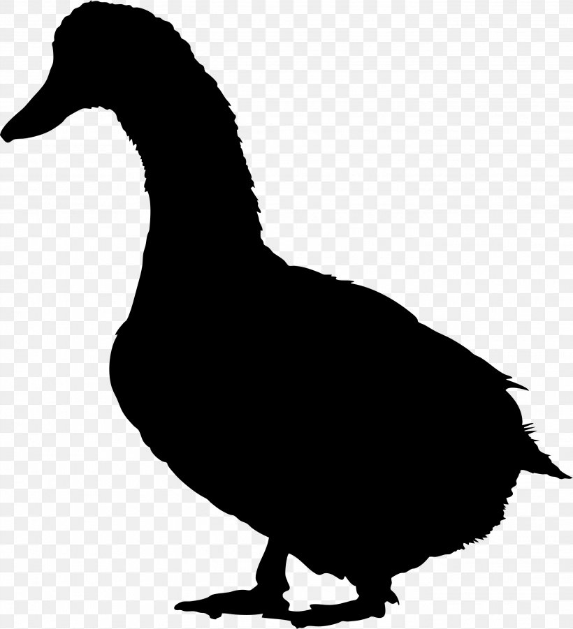 Duck Domestic Goose Bird Fowl, PNG, 2738x3009px, Duck, American Black Duck, Assortment Strategies, Beak, Bird Download Free